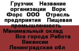 Грузчик › Название организации ­ Ворк Форс, ООО › Отрасль предприятия ­ Пищевая промышленность › Минимальный оклад ­ 25 000 - Все города Работа » Вакансии   . Ленинградская обл.